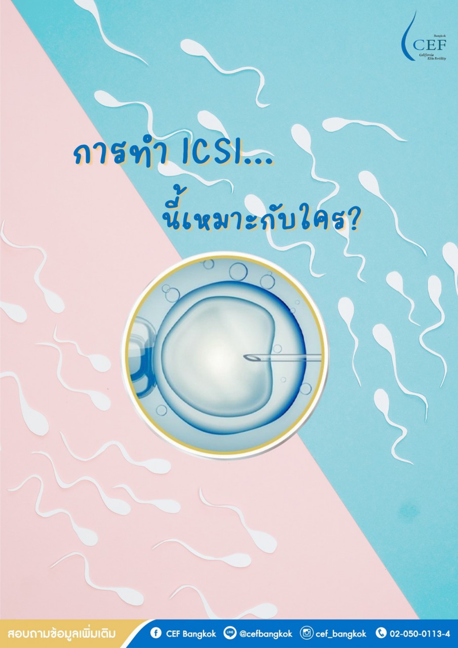 “อิ๊กซี่” หรือ ICSI (Intracytoplasmic Sperm Injection)